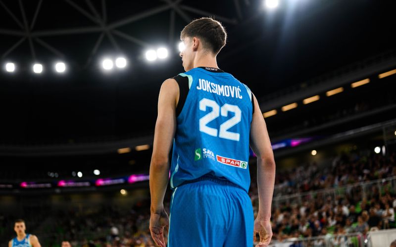 stefan joksimovic