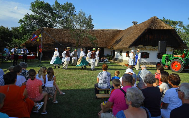 cg_dominkova_domacija_1.jpg