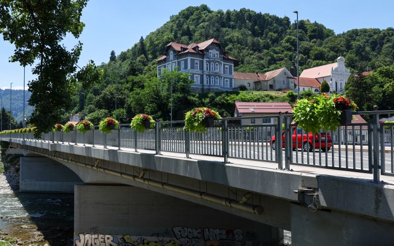 zelenice 1 (2).jpg