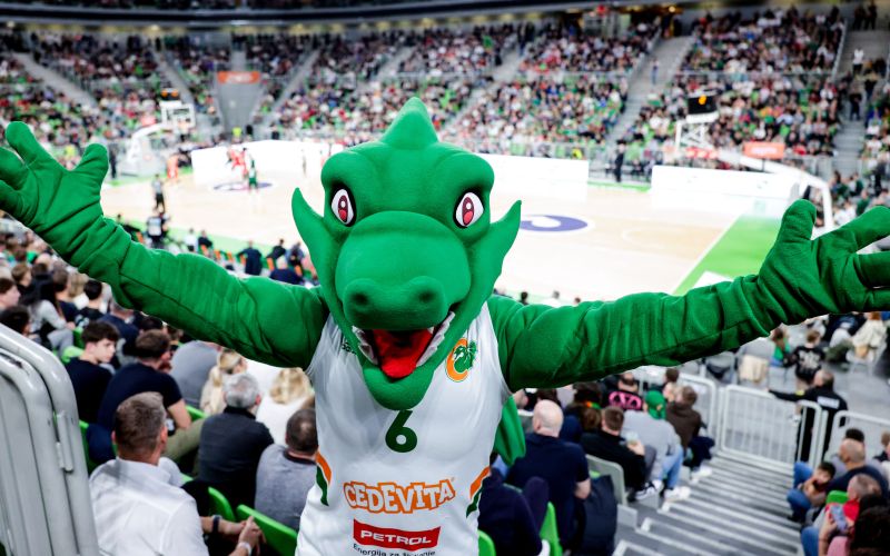 zmaj stozice.jpg