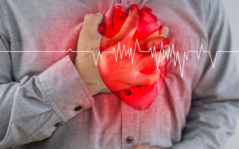 srce4.jpg