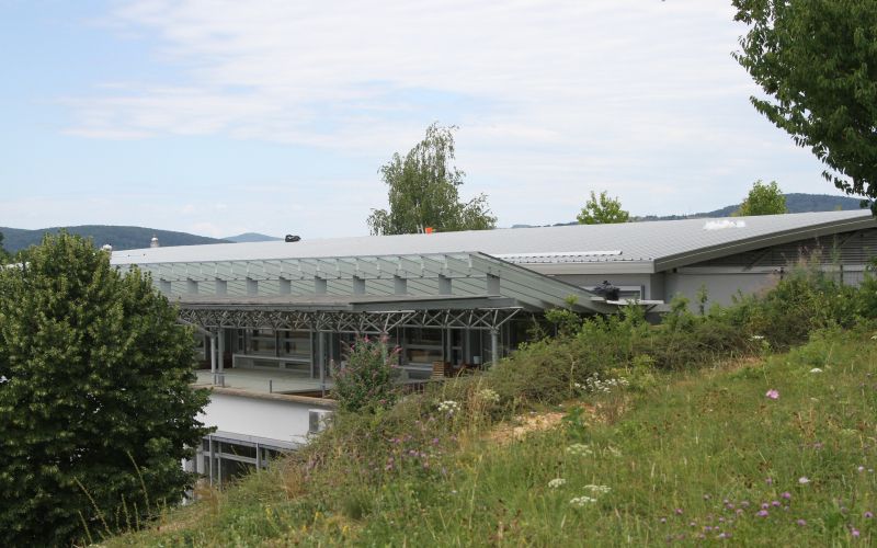 streha-os-drska