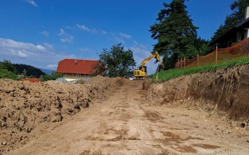 plešivec 1.jpg