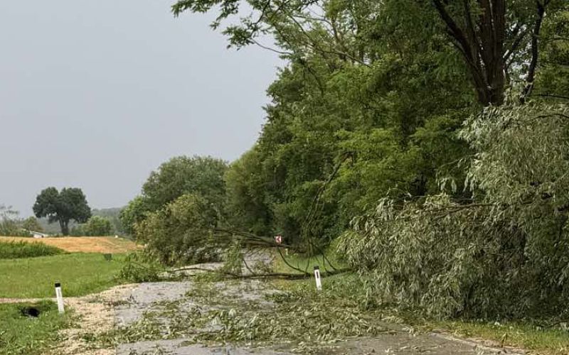 neurje, nevihta, pomurje