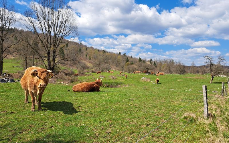 Sklad kmetijskih zemljišč in gozdov