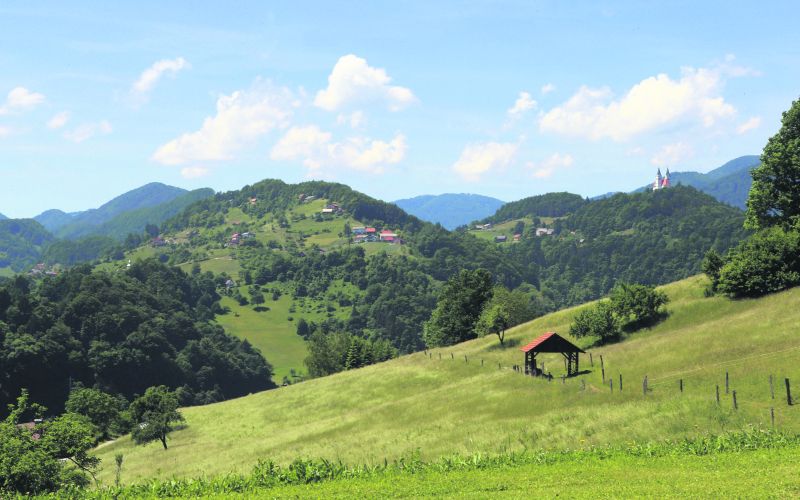 susa, koruza, kmetijstvo, pridelki