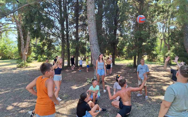 debeli rtič1.jpg