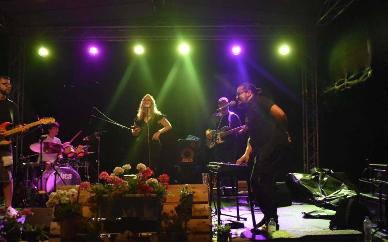 poletje-v-moravskih-toplicah, koncert, folklora