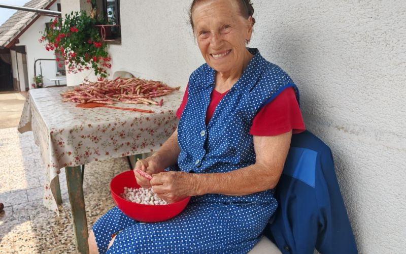 ana_plut.jpg