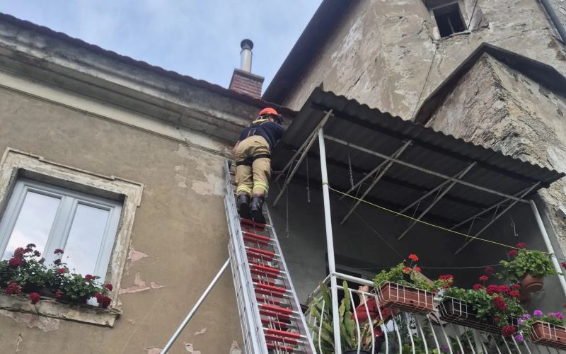 pge maček.jpg