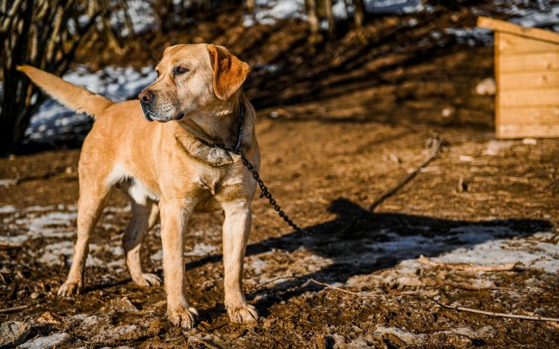 pexels-aleksandar069-13239221.jpg