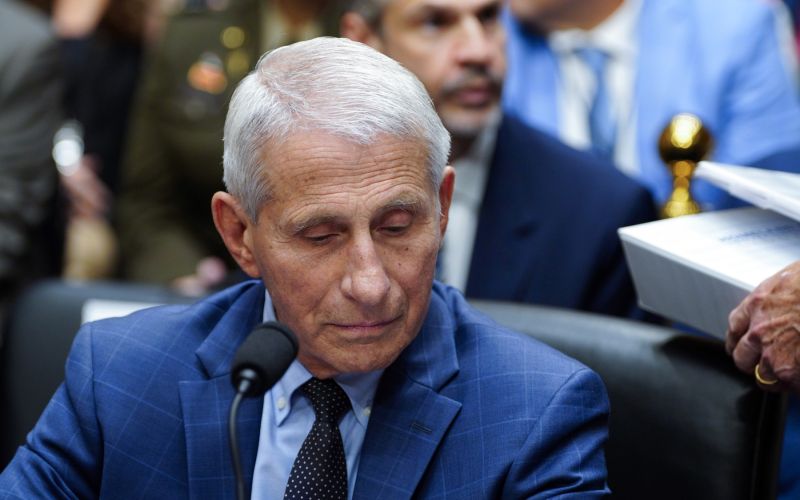 anthony fauci.jpg