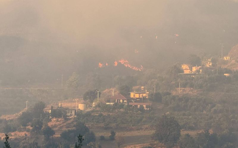 požar, alanya.jpg