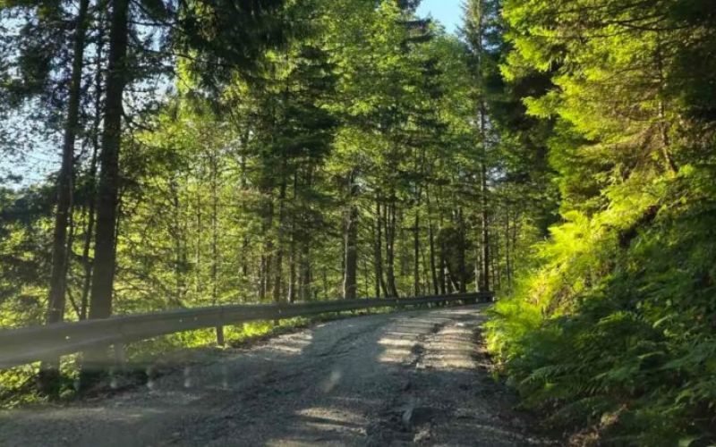 ribniška koča, cesta.jpg