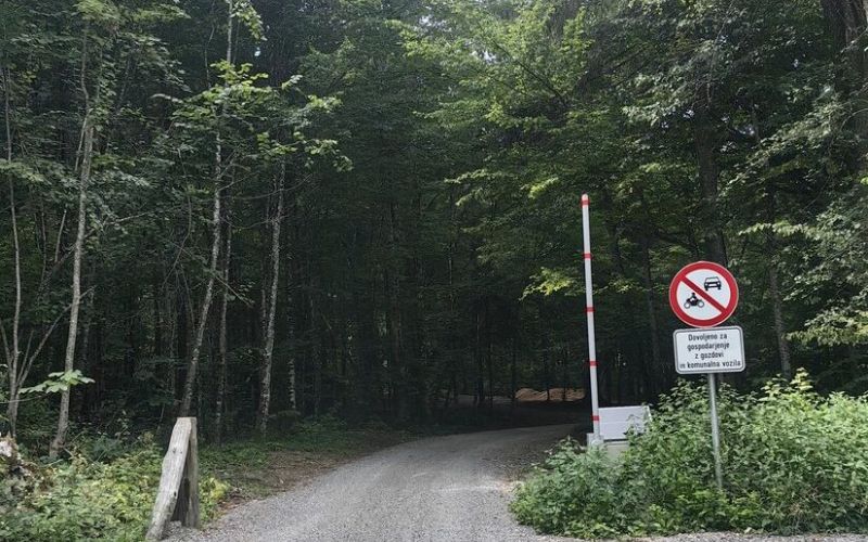 obcina-kocevje, cesta-pod-stojno
