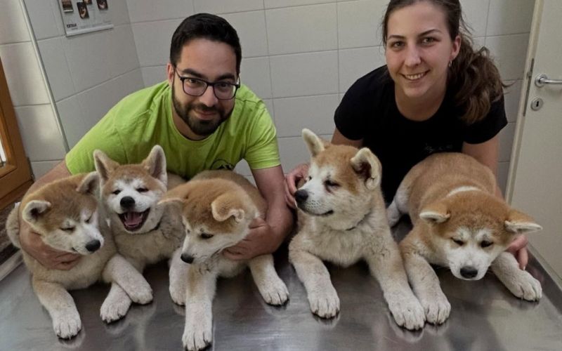 belokranjska_veterinarska_sluzba.jpg