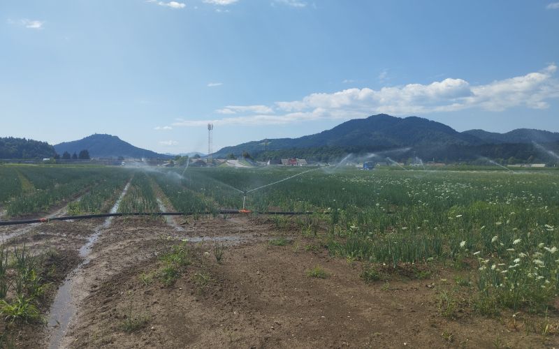 mv-namakalni sistem suša 1.jpg