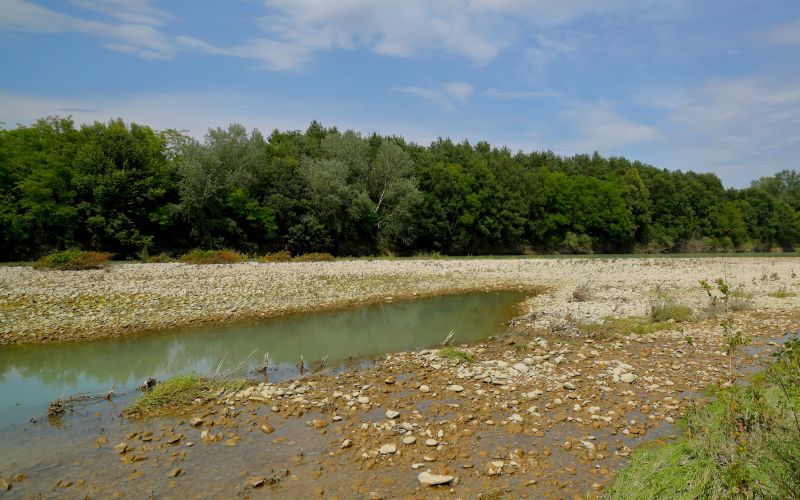 cg_vrocina_vodostaj_drava.jpg