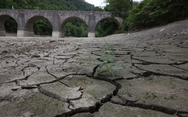 savinja, susa, struga, poletje, poletje-2026