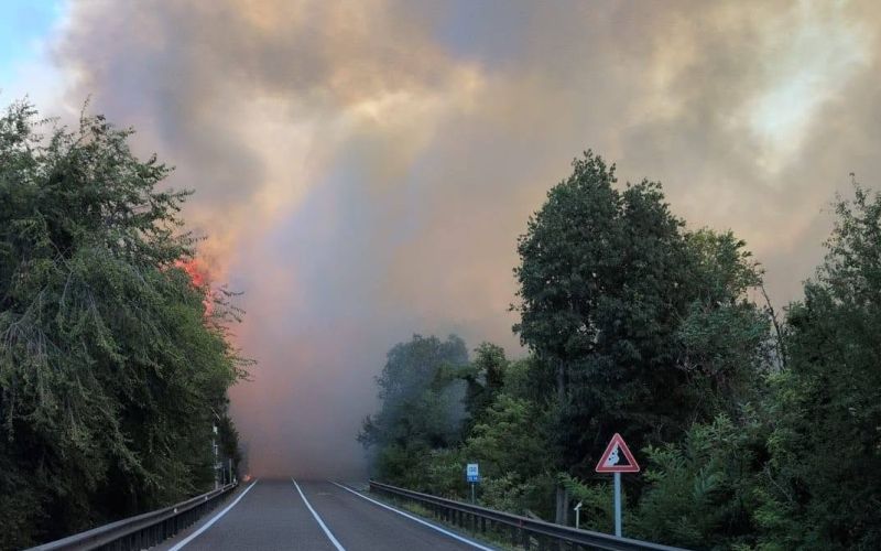 požar Tržič