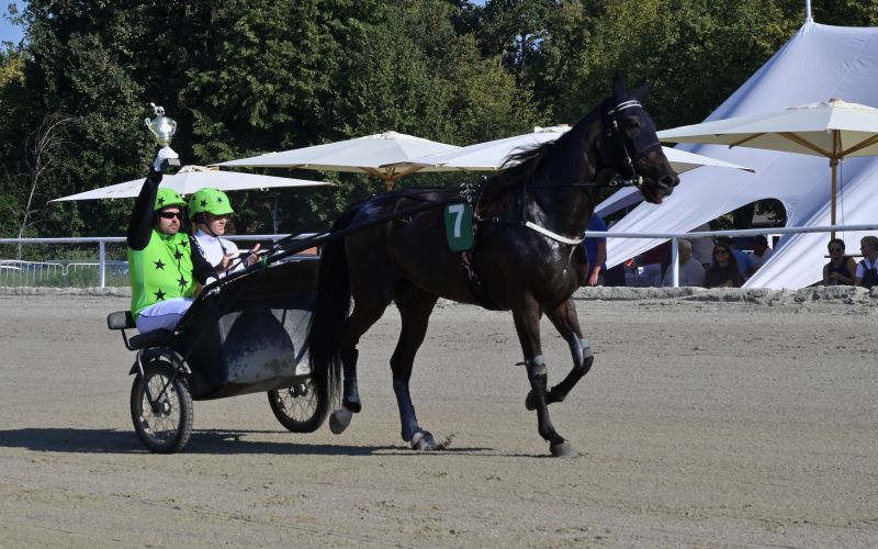 ljutomer, xxxvi-slovenski-kasaški-derby.