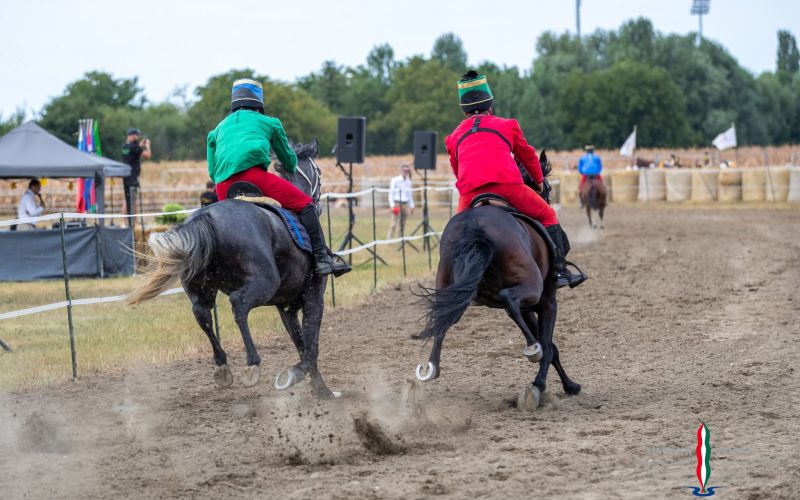 pomurski-galop, drustvo-za-zascito-konj