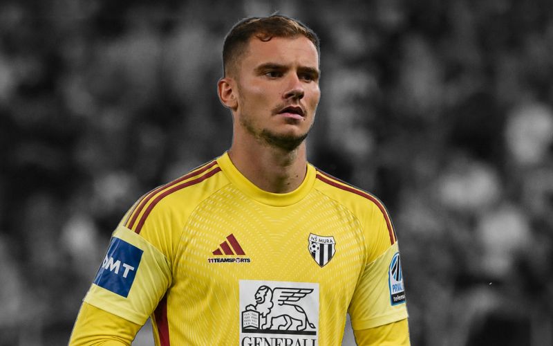Adnan Golubović, nš mura