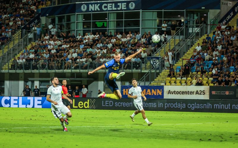 nk-celje, liga-prvakov, kvalifikacije, ararat