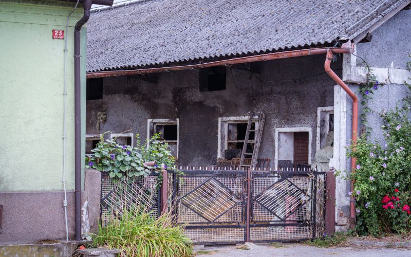 gospodarstvo, marjan-špur, iljaševci, pogin-govedi, mučenje-živali