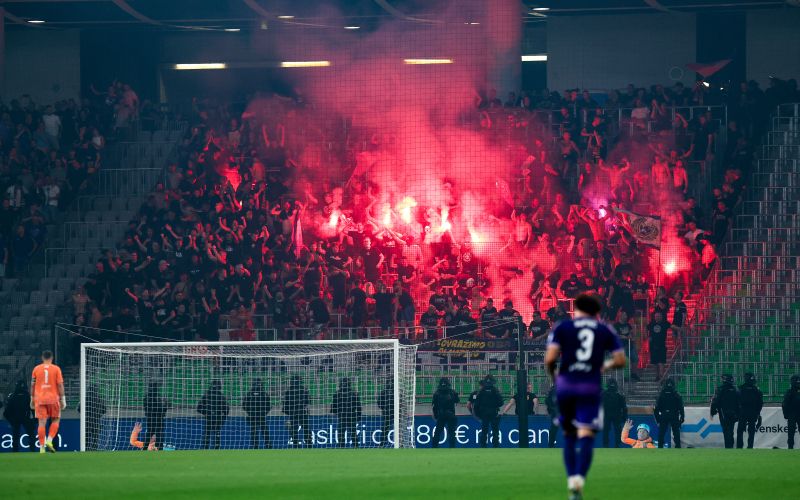 viole maribor.JPG