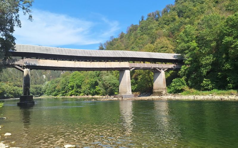 sava-most-poletje.jpg