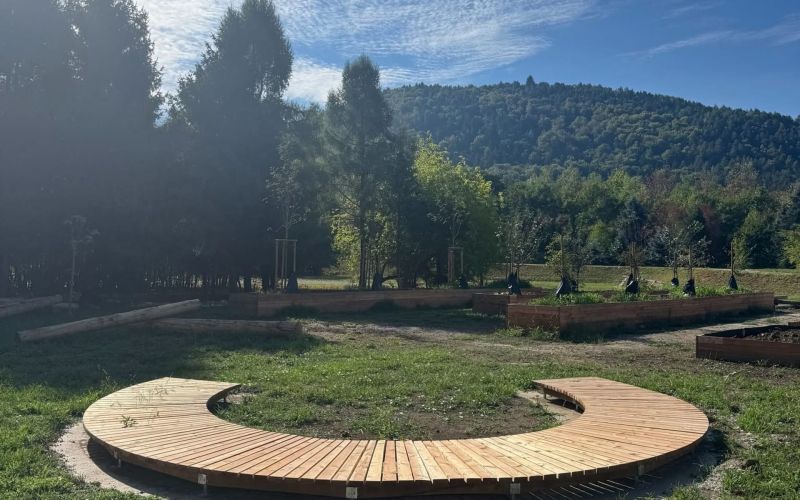 celje, zelena-cona, medlog