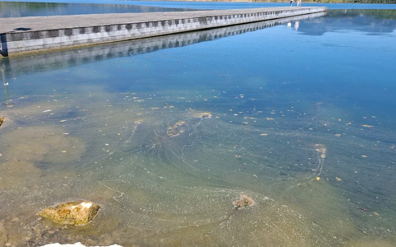 jezero-cianobakterije.jpg