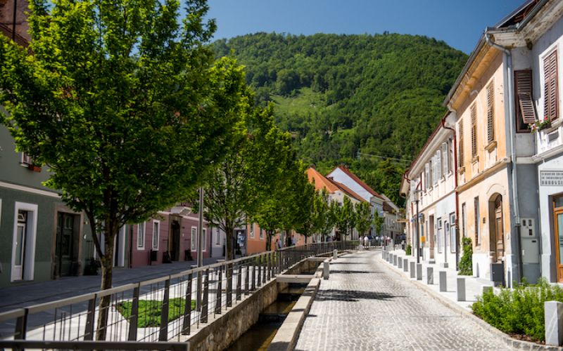 občina slovenske konjice.jpg