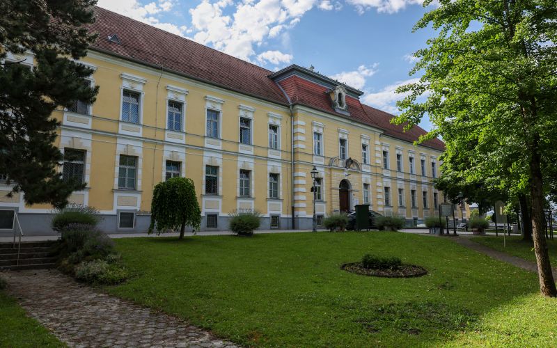 psihiatricna bolnisnica vojnik.jpg