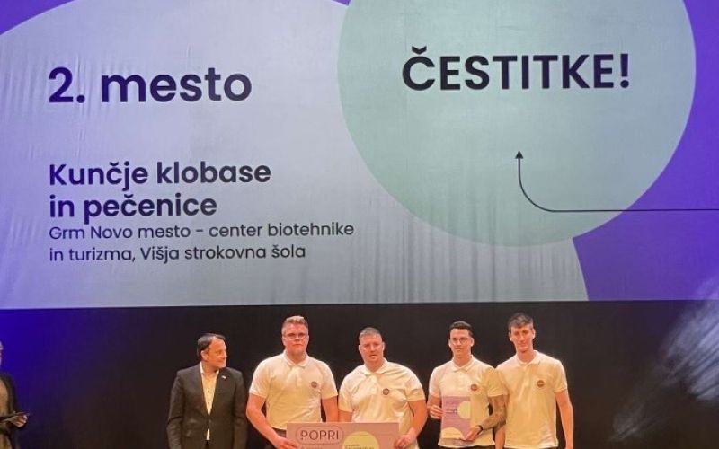 grm novo mesto, višja strokovna šola