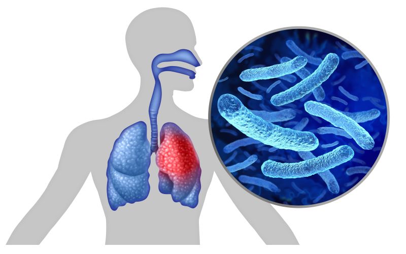 Legionella pneumophila bacteria2.jpg