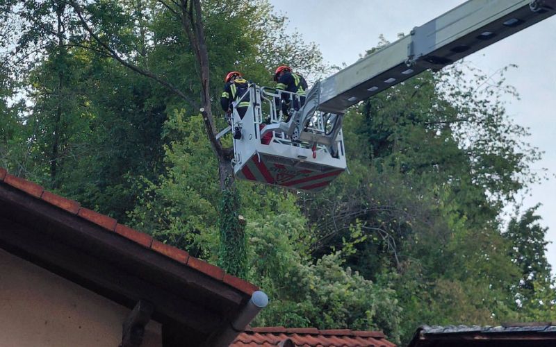 pgd sevnica.jpg