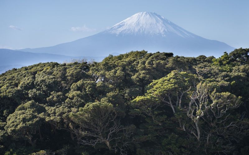gora fuji.jpg