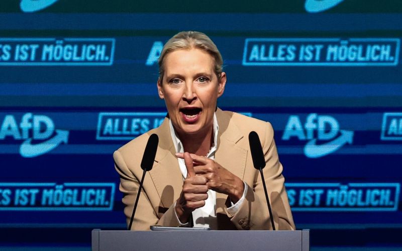 Alice Weidel.jpg