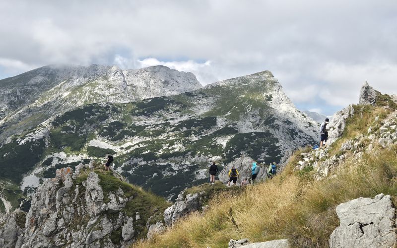 visevnik, du-dolenjske-toplice