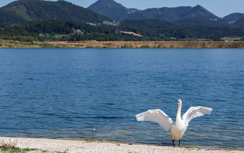 družmirsko jezero 1.jpg