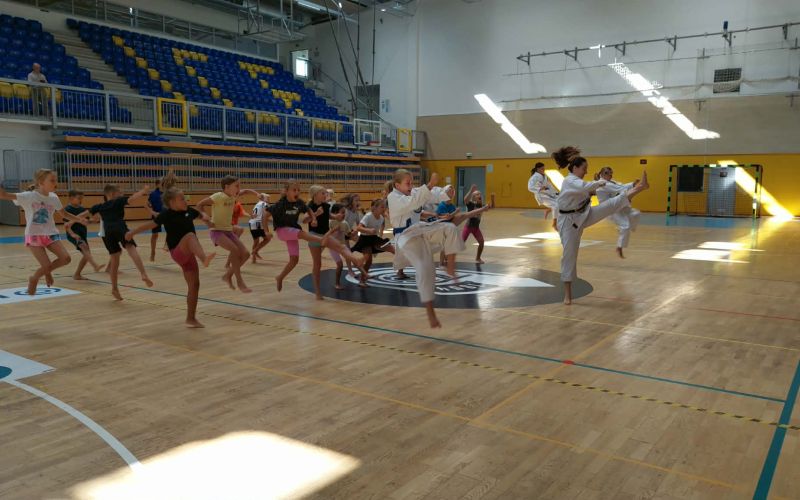 karate