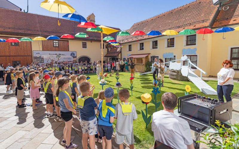 knjiznica-ptuj