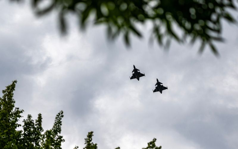 gripen
