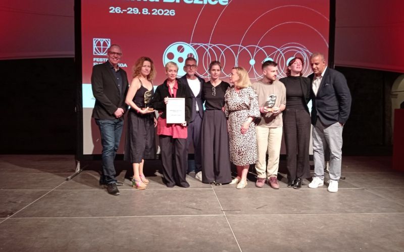 festival-evropskega-filma-brezice, ales-pavlin, dva-tozilca, filip-jembrih-jandras, zajcnji-nasip, dejan-vincicc, odbojka