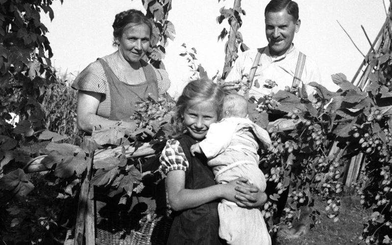 KAMRA_ALBUM_franc Solina_hmelj_190_.jpg