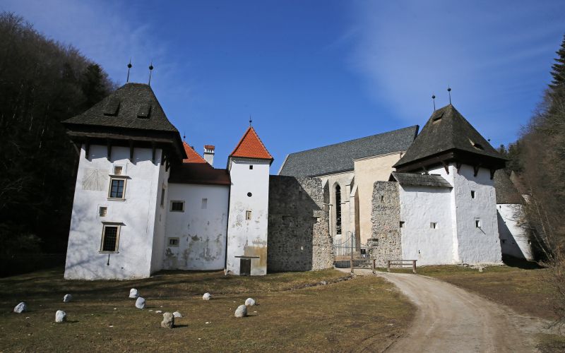 žička kartuzija.jpg