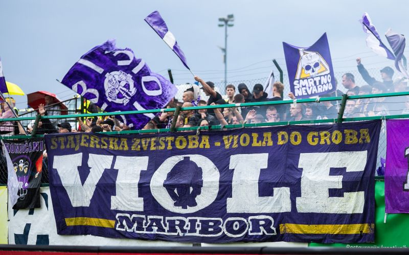 viole.jpg