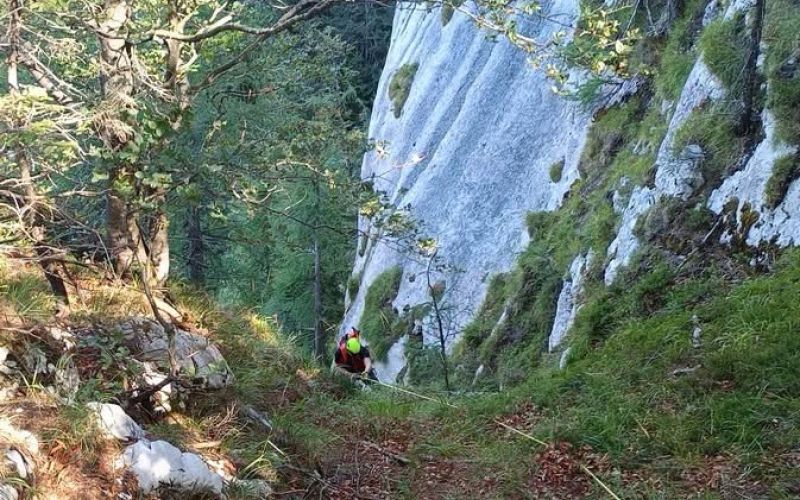 iskanje, pogresana-oseba